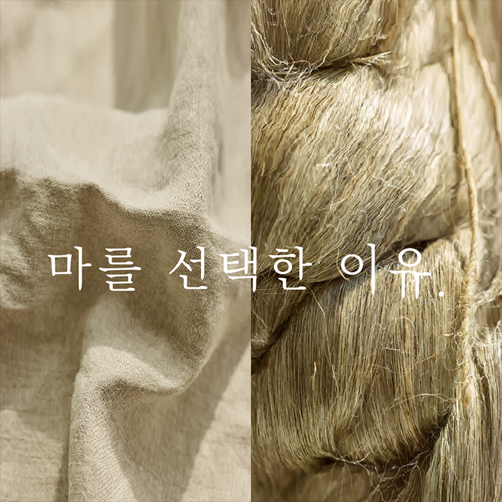 마를 선택한 이유