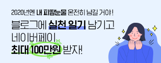 2020년엔 내 피땀눈물 온전히 남길거야! 블로그에 실천일기 남기고 네이버페이 최대 100만원 받자!